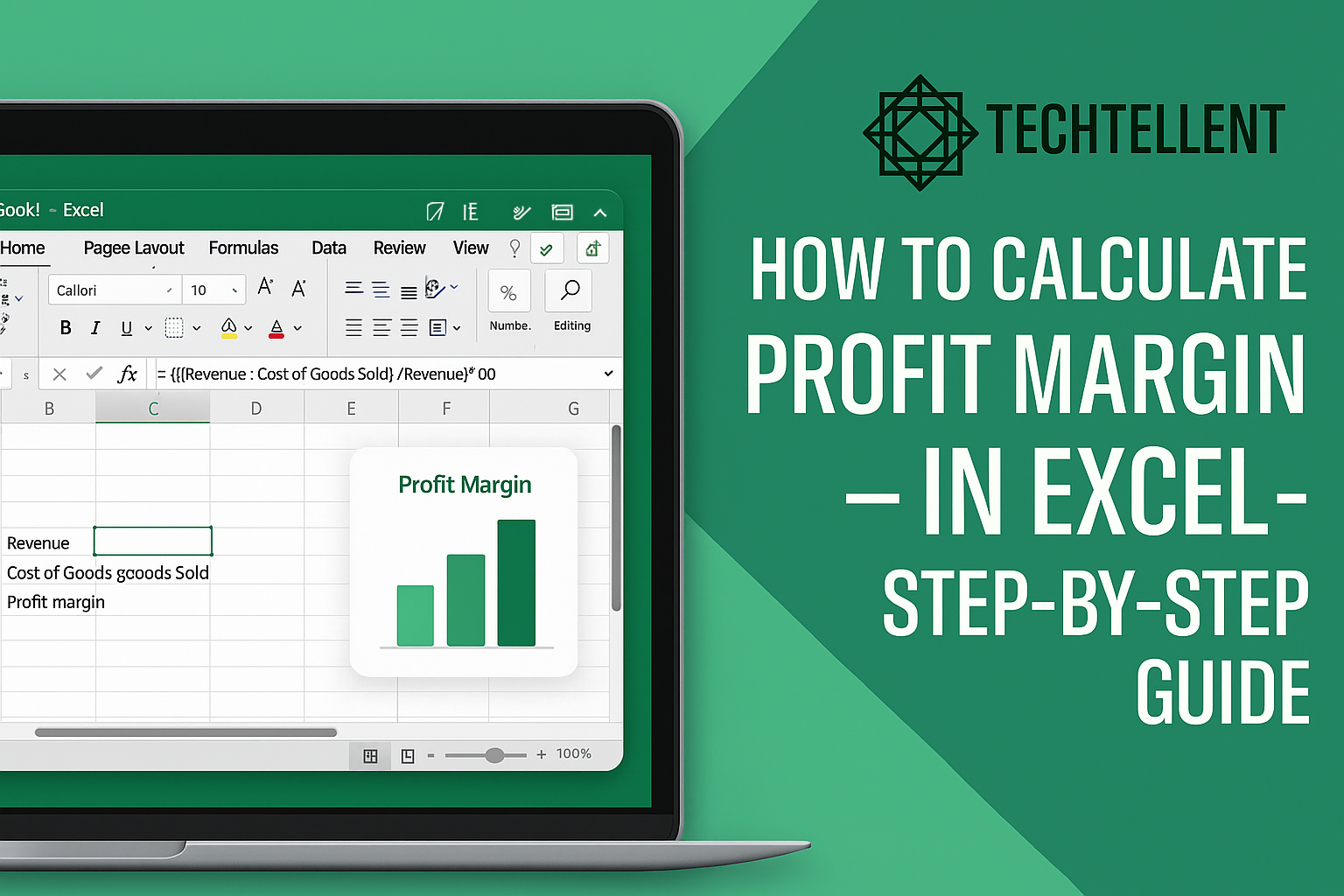 Profit margin formula in Excel example showing calculation using revenue and cost of goods sold with a dynamic spreadsheet interface